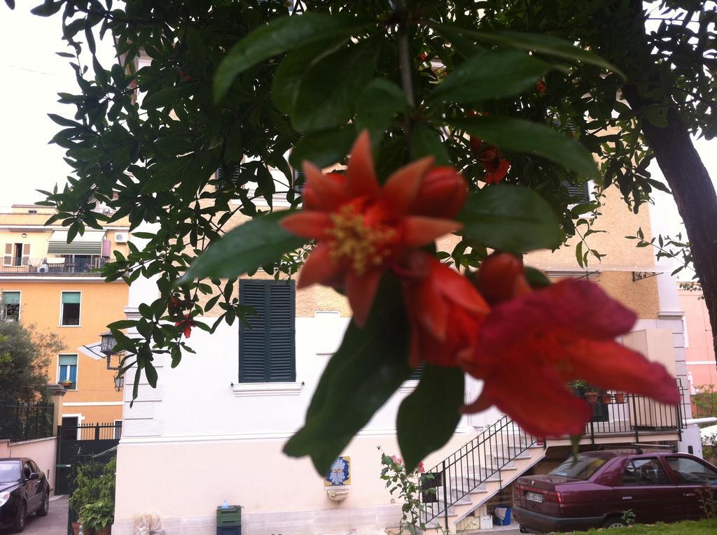 Bed and Breakfast Aristocarli Roma Esterno foto